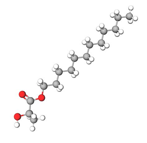 Свойства и состав Di c12 13 alkyl malate