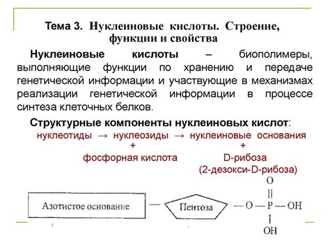 Свойства и функции нуклеиновых кислот