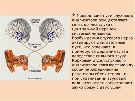 Связь между горящей мочкой уха и нарушением слуха