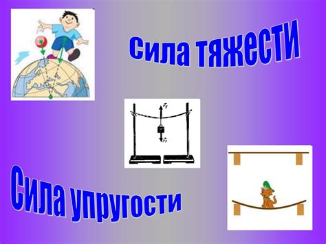 Связь между массой тела и принятием решений