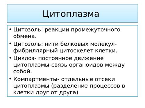 Связь незрелой цитоплазмы с завернутыми краями