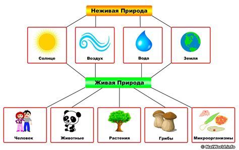 Связь с миром природы