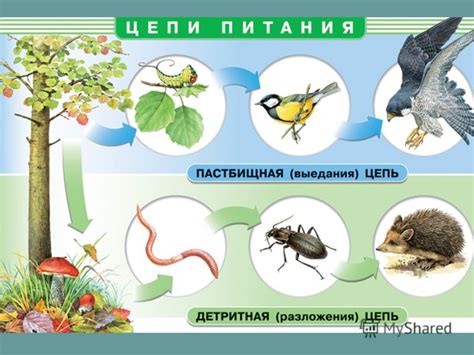 Сезонные факторы и обрывы питания