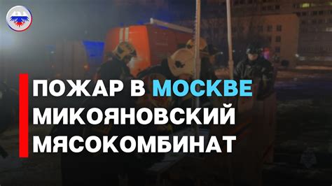 Сейчас в Москве горит на МКАДе: