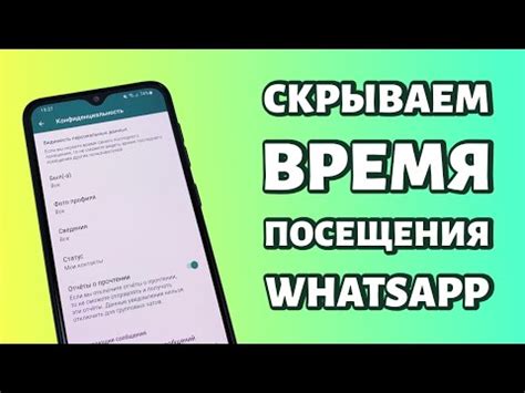 Секретная функция: узнайте время последнего визита в WhatsApp