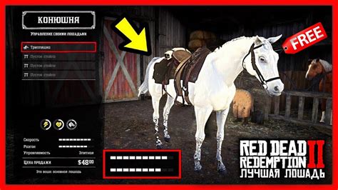 Секретные места, где можно найти украденную лошадь в Red Dead Redemption 2