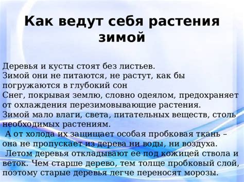 Секреты времен Изис, которые мир еще не раскрыл