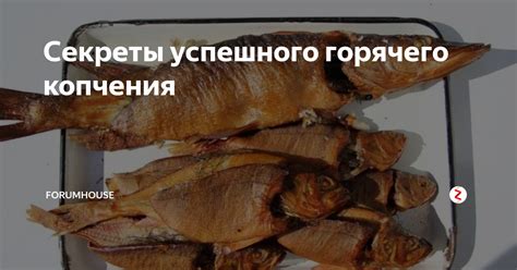 Секреты длительности процесса горячего копчения рыбы