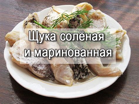 Секреты маринования и соления