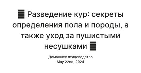 Секреты определения вероятности победы в конкурсе