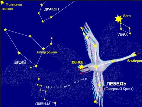 Секреты поиска полярной звезды