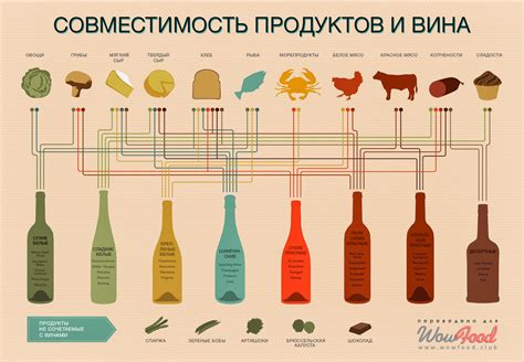 Секреты правильного сочетания вина и продуктов