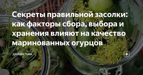 Секреты правильной хранения