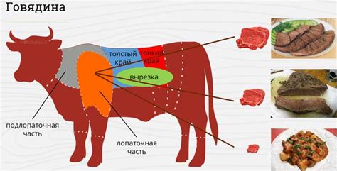 Секреты приготовления мягкого стейка: подбор и обработка мяса