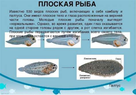 Секреты сохранения свежести копченой рыбы без холодильника