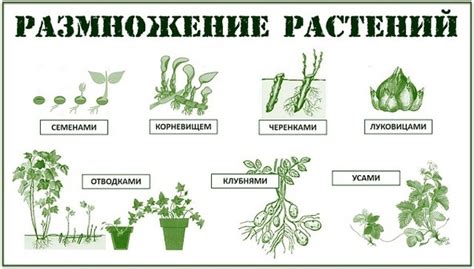 Секреты успешного создания торта-машины