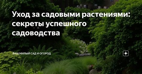 Секреты успешного ухода за жиринами