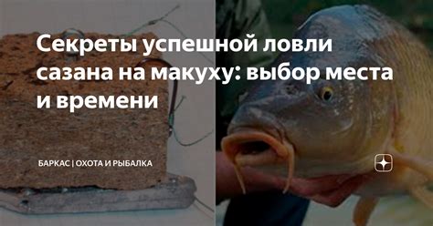 Секреты успешной ловли сазана на реке Ахтуба