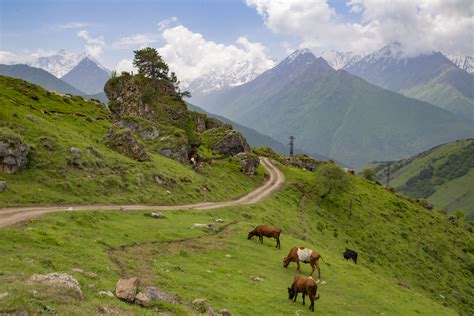 Сельская жизнь в хуторах