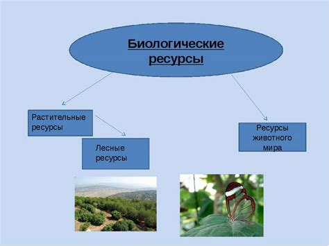 Сельское хозяйство и биологические ресурсы