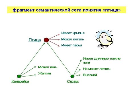 Семантическая сеть: определение и основные понятия