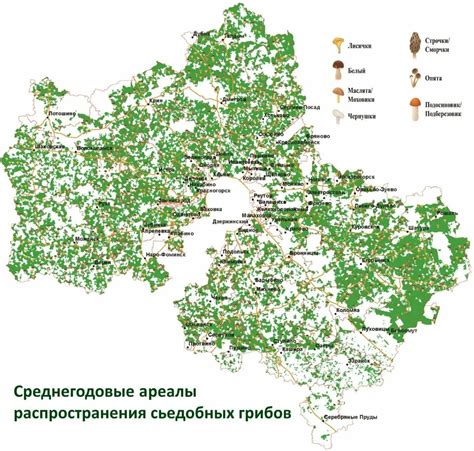 Семена в Районах-грибных Лесов