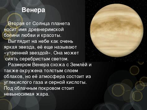 Сестра Реяна в книге Ветреный: характеристики и интересные факты