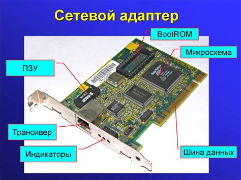 Сетевой адаптер: основные понятия