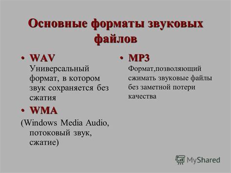 Сжатие файлов без потери качества: почему это важно