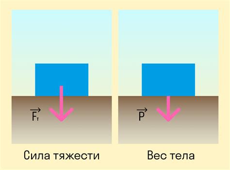 Сила притяжения: базовое определение