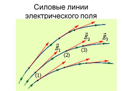 Силовые линии электрического поля: форма и распределение