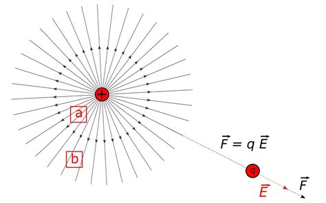 Силовые линии электрического поля вокруг точечного заряда