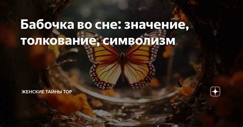 Символизм красного плаща во сне