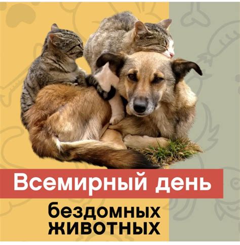 Символика бездомных животных во сне