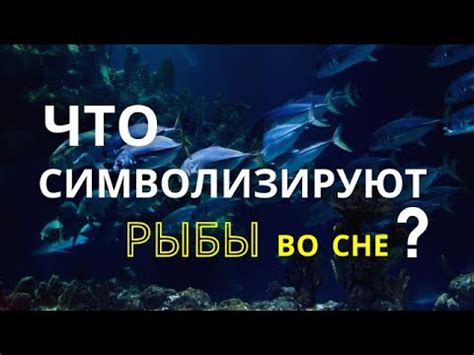 Символика выбора рыбы во сне