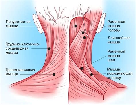 Симптомы заклинивания шеи справа