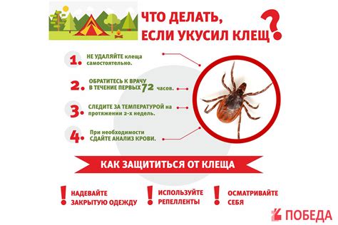 Симптомы и последствия ушного клеща