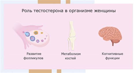 Симптомы и признаки повышенного прогестерона у мужчин