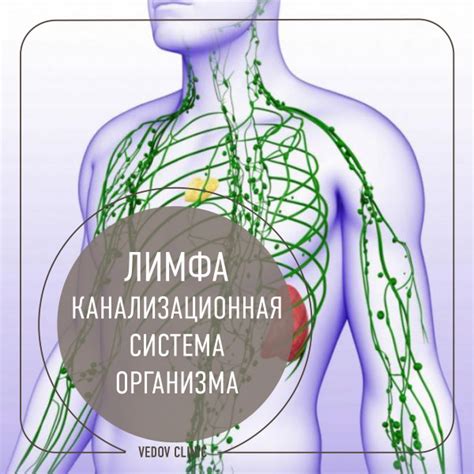 Симптомы неполадок в лимфатической системе