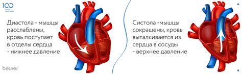 Симптомы одинакового верхнего и нижнего давления