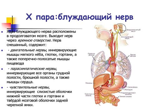 Симптомы патологии