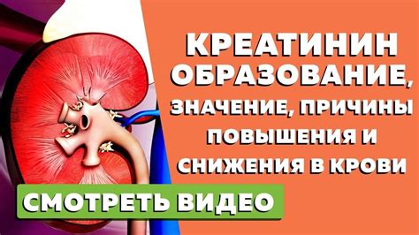 Симптомы повышенного уровня креатинина в крови