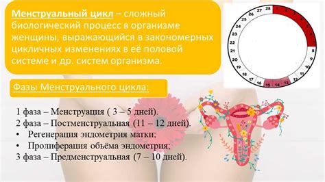 Симптомы сбоя цикла и способы их обнаружения