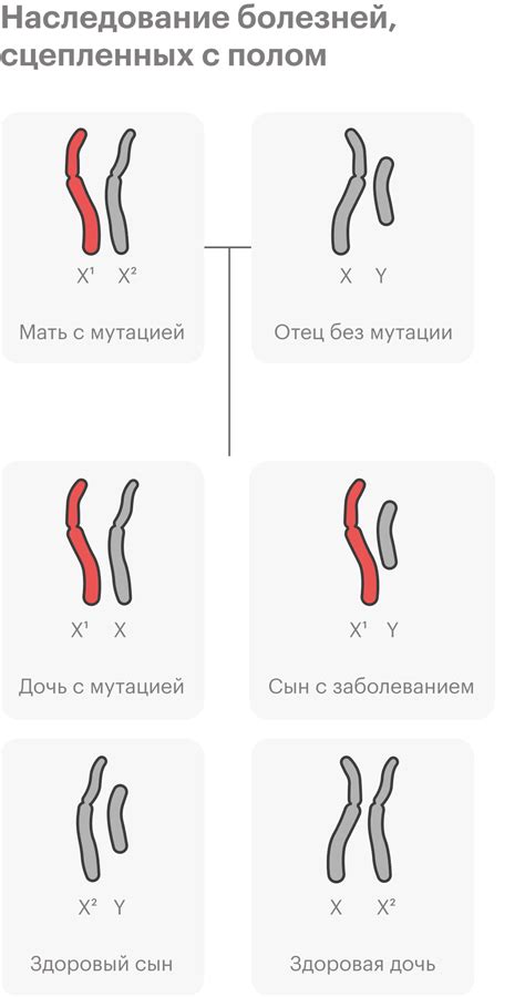 Синдромы и мутации, связанные с 48 хромосомами