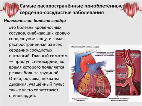 Синие губы: предупреждение о проблемах сердечно-сосудистой системы