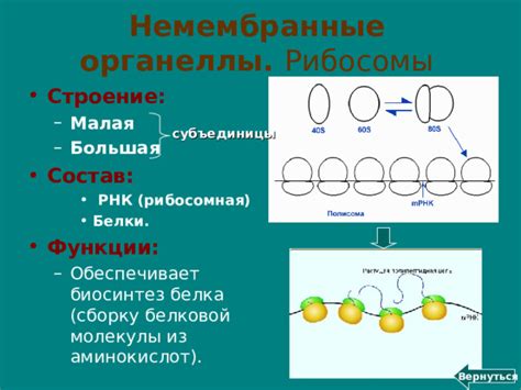 Синтез в свободном состоянии