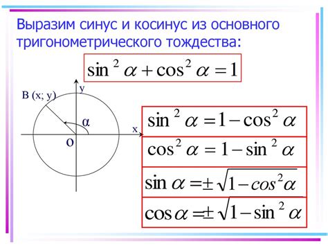 Синусы: основные понятия и формулы