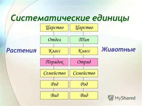 Систематика в биологии 5 класс