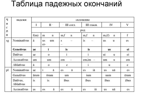 Система падежей в латинском языке