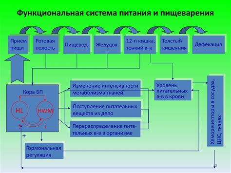 Система питания